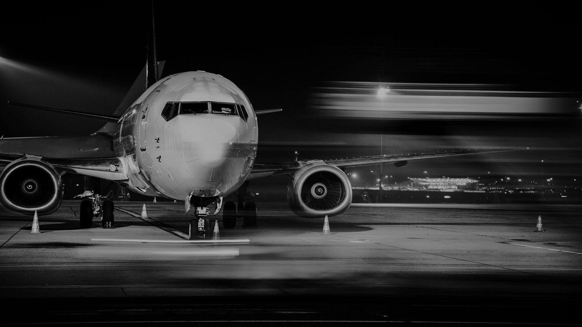 Free Bird Travel Slide